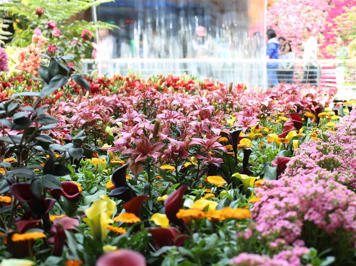 Howard Johnson Flower City Hotel كونمينغ المظهر الخارجي الصورة